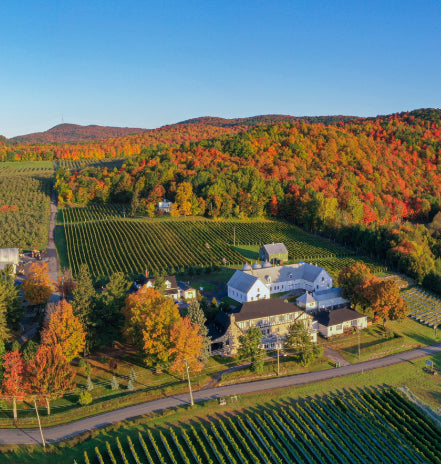 Vignoble et cidrerie Coteau Rougemont - vue aérienne automne