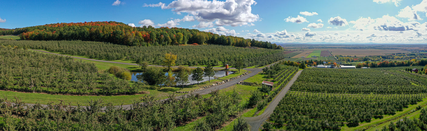 Vignoble et cidrerie Coteau Rougemont - vue aérienne panoramique